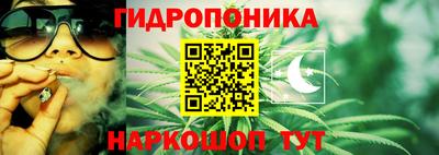 твердый Можга