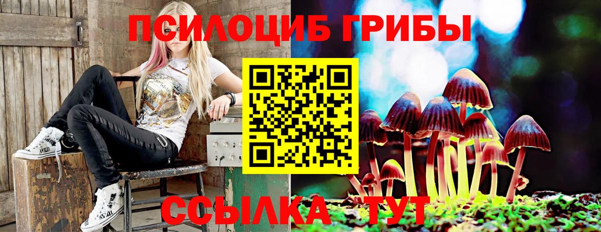 Галлюциногенные грибы Psilocybe  Вход с VPN  Сорочинск  Псилоцибиновые грибы Psilocybe 
